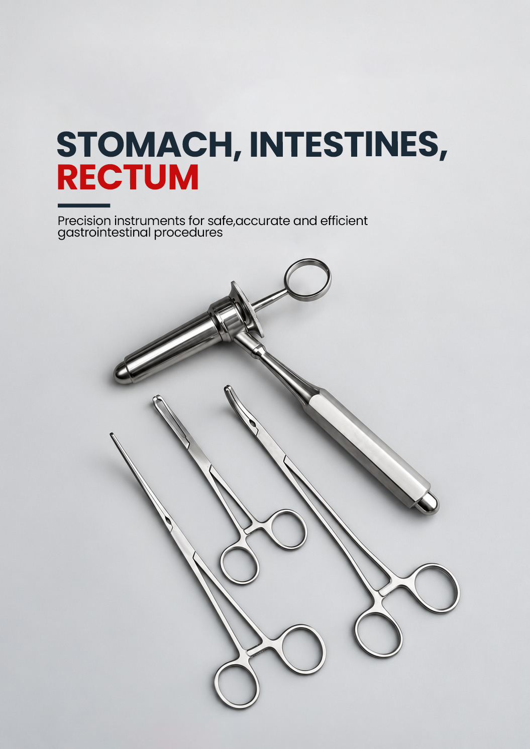 Stomach Intestines Rectum (Section 14)